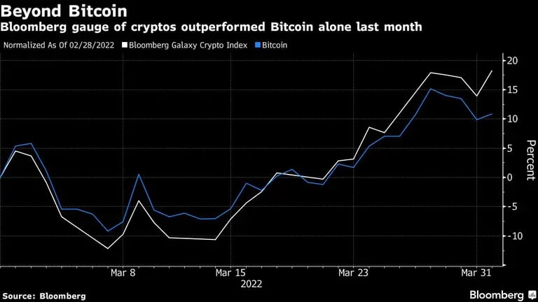 El indicador de criptos de Bloomberg tuvo un mejor rendimiento que el bitcoin por si solo el mes pasadodfd