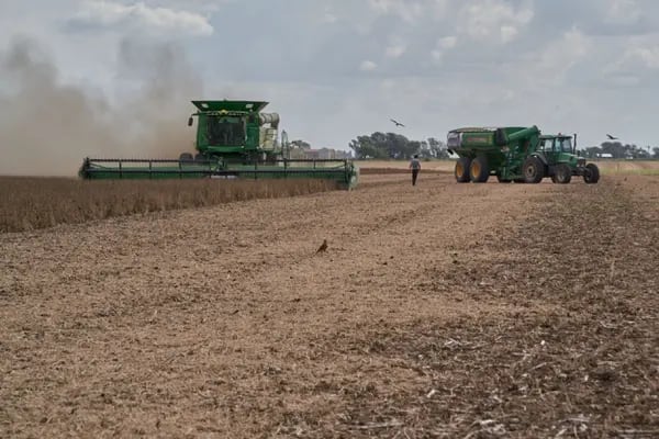 Imagen de un campo de soja en Argentina