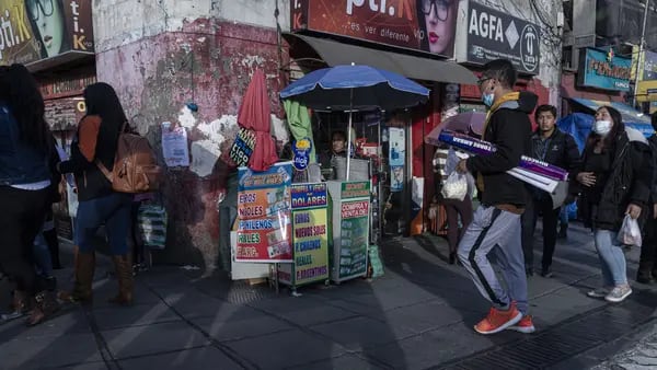 Bolivia tendrá censo este 2024: cuándo será y lo que debe saberdfd