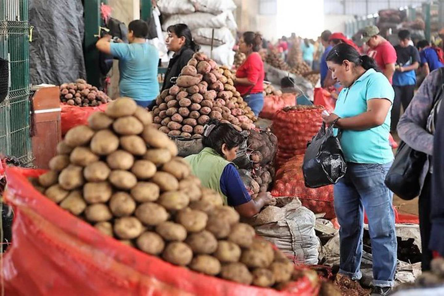 16 de 26 productos básico subieron de precio el jueves 19 de enero en el Gran Mercado de Lima.
