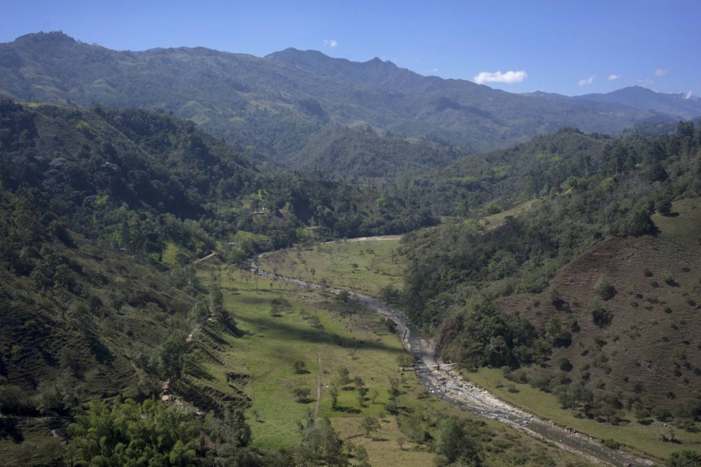 Un arroyo atraviesa una plantación de café en Quindío, Colombia, el martes 9 de septiembre de 2014.dfd