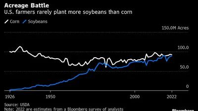 Nos EUA, agricultores raramente plantam mais soja que milho