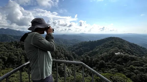 El turismo de lujo apuesta por la conservación del bosque nublado y la sostenibilidad en Ecuadordfd