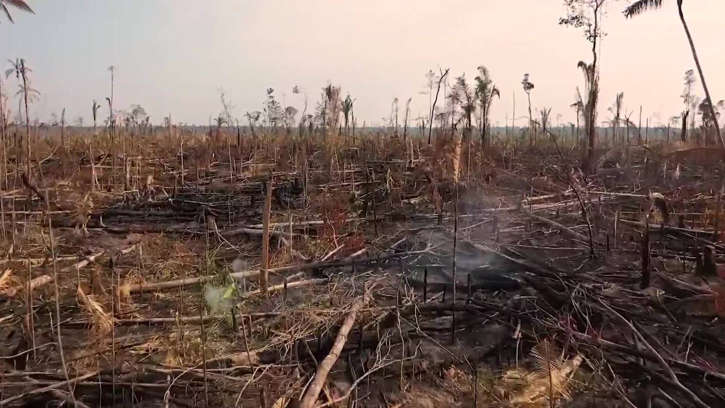 Amazônia sofre com grilagem de terras no Brasildfd