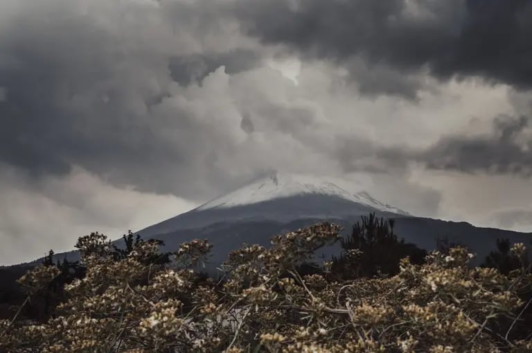 Las autoridades emitieron advertencias a los residentes ante el aumento de la actividad en el Popocatépetl, uno de los volcanes más activos de México.dfd