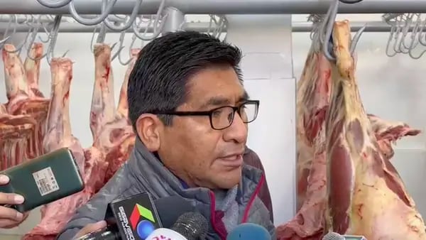 El Gobierno de Bolivia restableció las exportaciones de carne, soya y azúcardfd