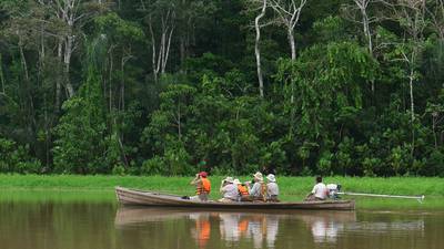 Empresas que dañan las selvas tropicales reciben miles de millones de los bancosdfd