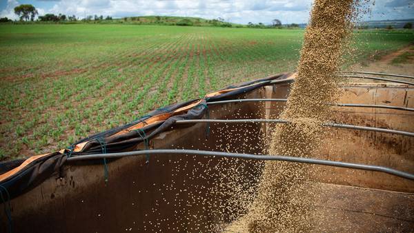 Corte de fertilizantes ameaça piorar crise mundial de alimentosdfd
