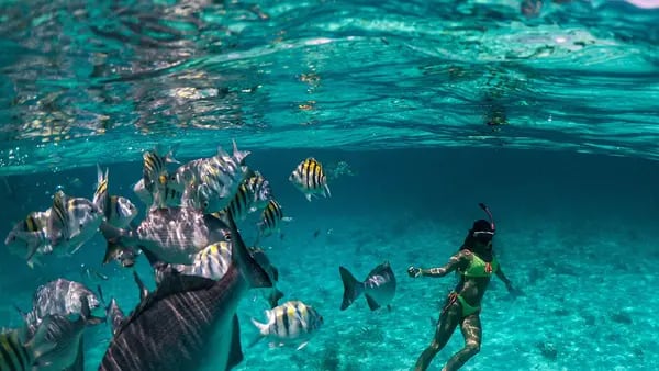 Los nueve resorts más interesantes que abrirán en el Caribe y México este 2024dfd