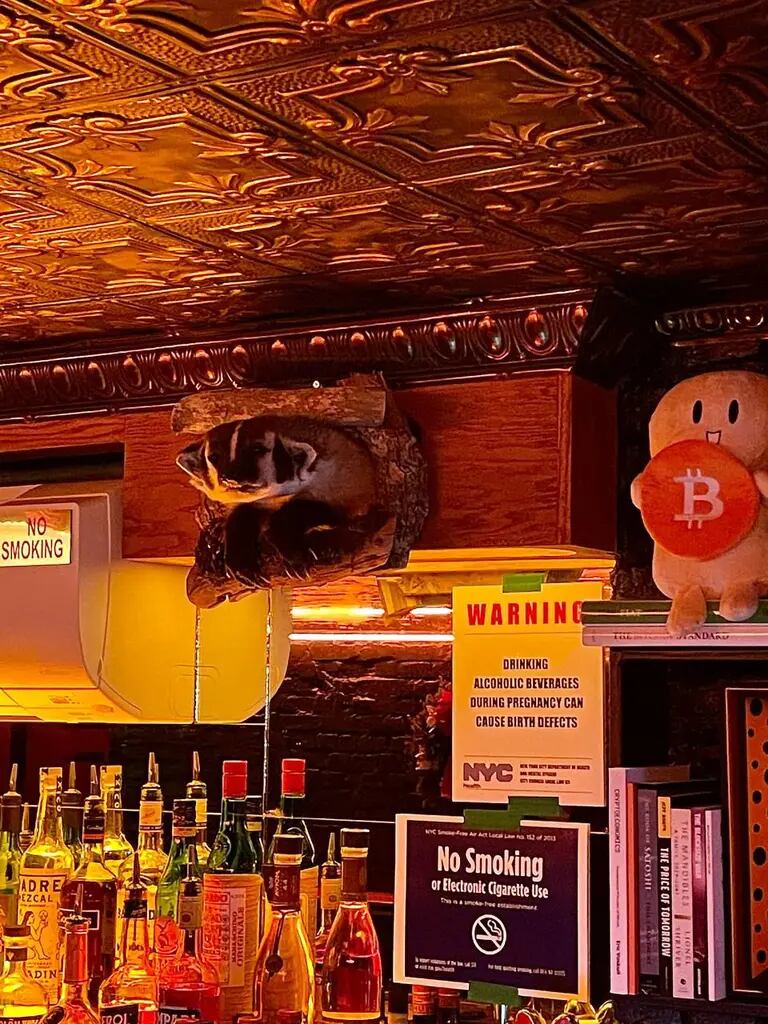 Dentro do bar, localizado na cidade de New Yorkdfd