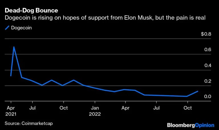 Dogecoin sube con la esperanza de recibir apoyo de Elon Musk, pero el dolor es realdfd