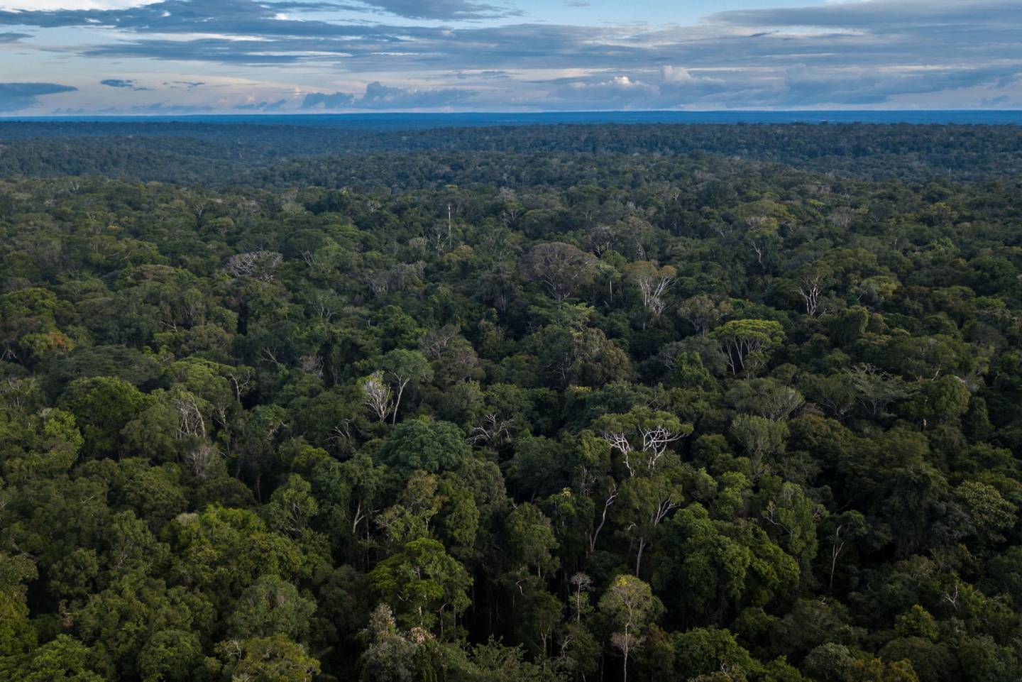 La selva amazónica se alza en esta fotografía aérea tomada cerca de Presidente Figueiredo, estado de Amazonas, Brasil, el domingo 3 de febrero de 2019.