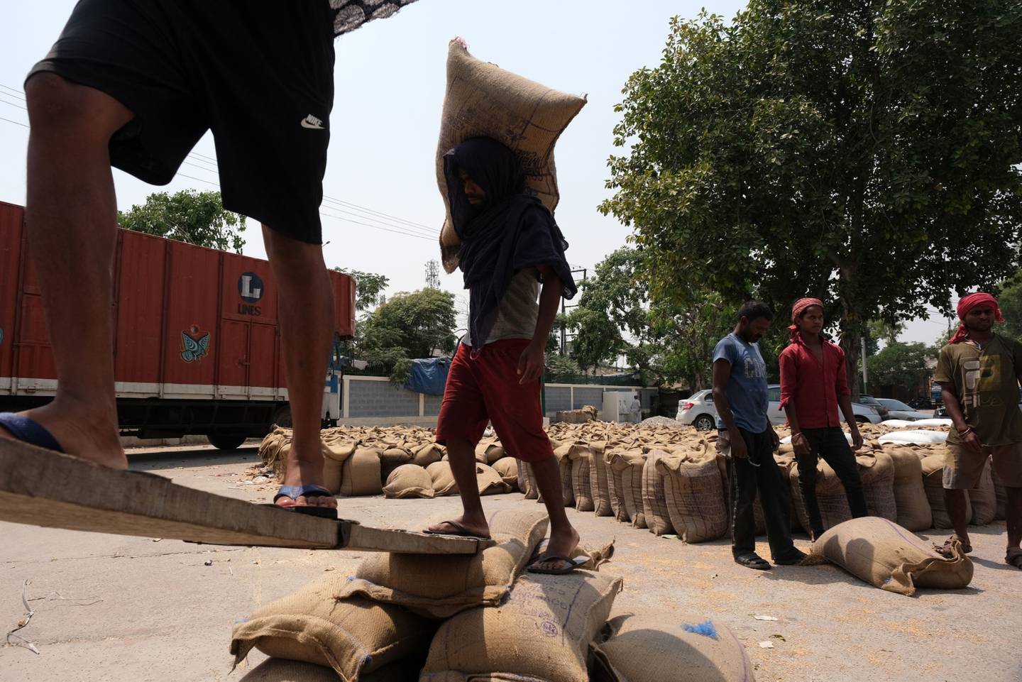 Trabajadores cargan sacos de trigo en un camión en el mercado de cereales en el distrito de Khanna de Punjab, India, el sábado 30 de abril de 2022. Una ola de calor abrasador ha quemado los campos en la India, reduciendo los rendimientos en el segundo mayor productor y amortiguando las expectativas de las exportaciones en las que el mundo confía para aliviar la escasez mundial.