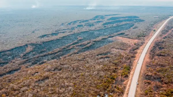 Bolivia: ¿Qué interés político y económico va detrás de los incendios forestales?dfd