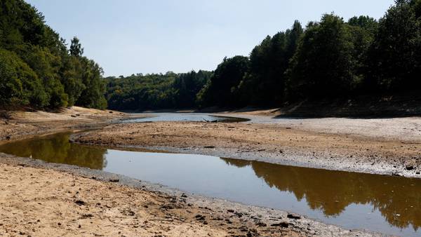 Inglaterra emite alerta oficial de estado de seca em meio a clima extremodfd
