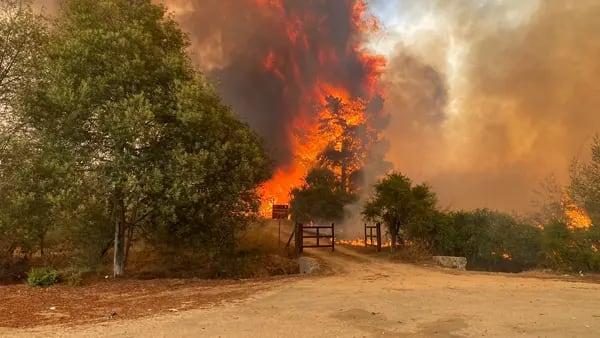 Incendios forestales en Chile: gobierno reporta al menos 99 muertosdfd