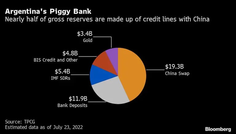 Argentina's Piggy Bank | Nearly half of gross reserves are made up of credit lines with Chinadfd