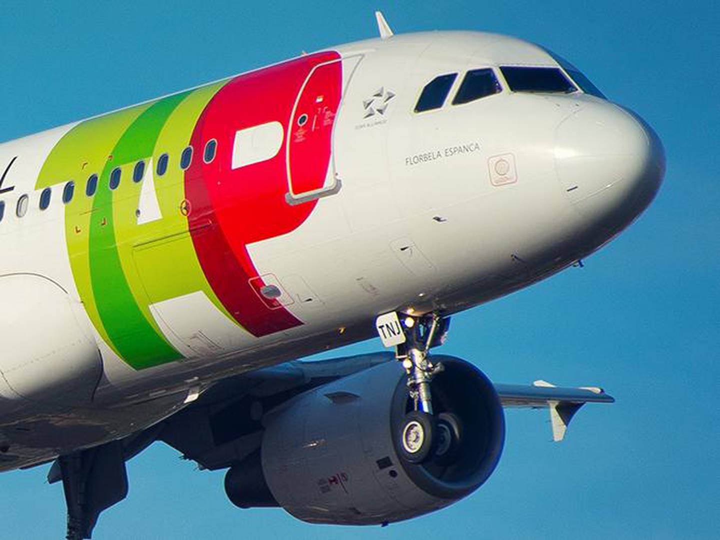 TAP: Incertezas impulsionam busca por novo investidor para aérea portuguesa