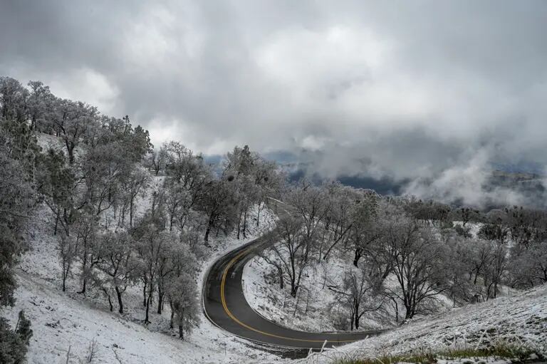 Nieve durante una tormenta en Mount Hamilton, California, EE.UU., el jueves 23 de febrero de 2023. Una tormenta invernal se extiende por el norte de EE.UU. esta semana, desatando frío y nieve desde California hasta Maine, mientras en el sureste se registran temperaturas récord. Fotógrafo: David Paul Morris/Bloombergdfd