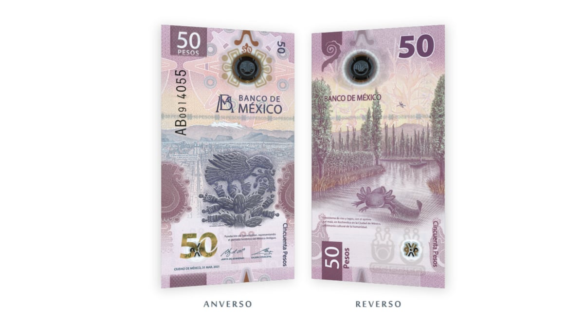 Nuevo billete de 50 pesos en México: Tenochtitlan, el ajolote y otras características