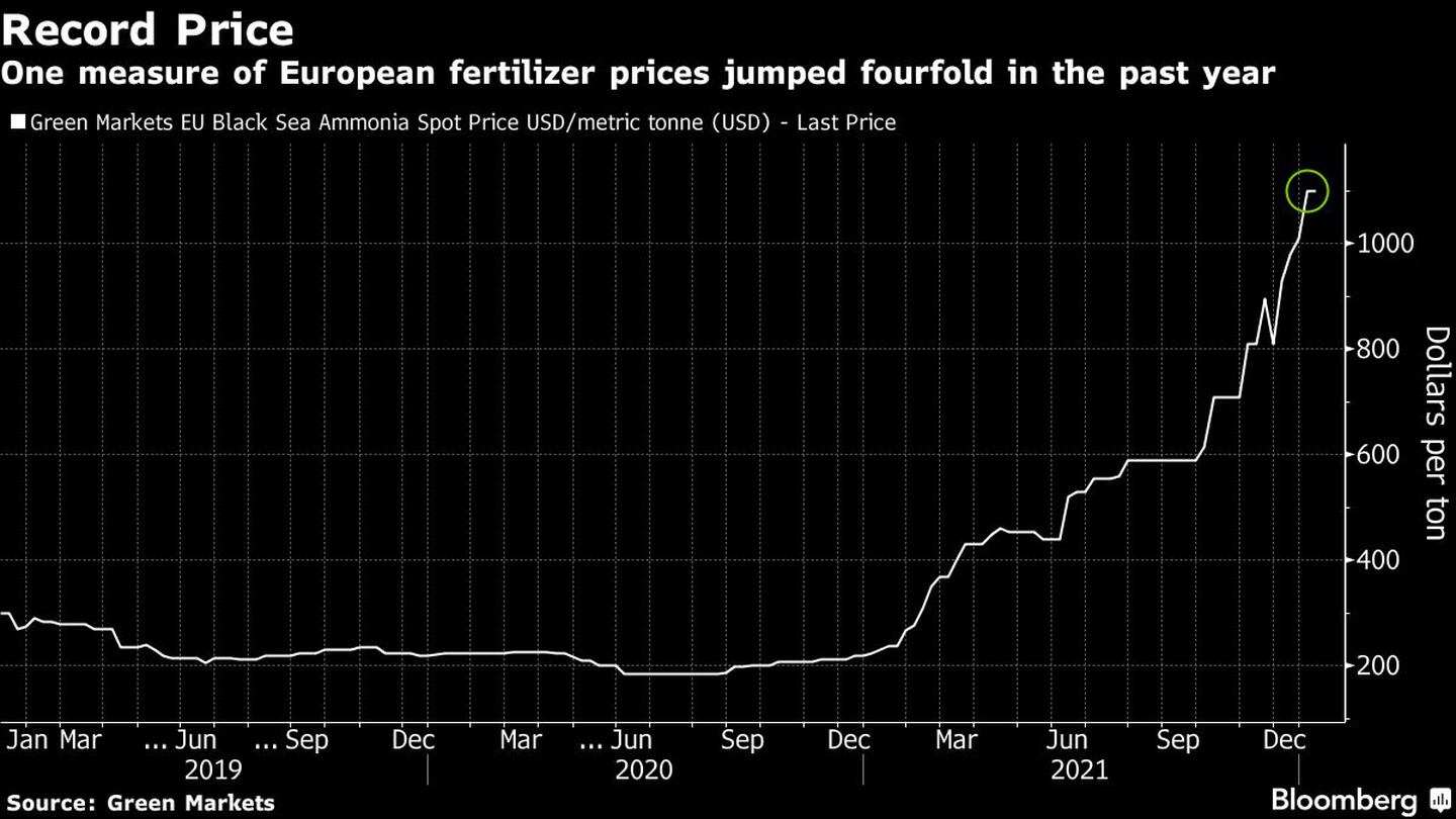 Una medida de los precios de los fertilizantes europeos se multiplicó por cuatro en el último añodfd