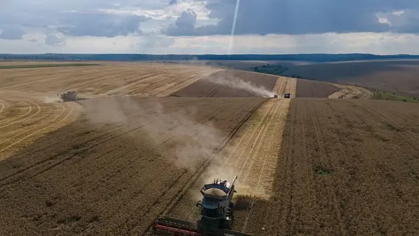 Trigo y maíz suben a pocos días de que expire acuerdo sobre cereales con Ucraniadfd
