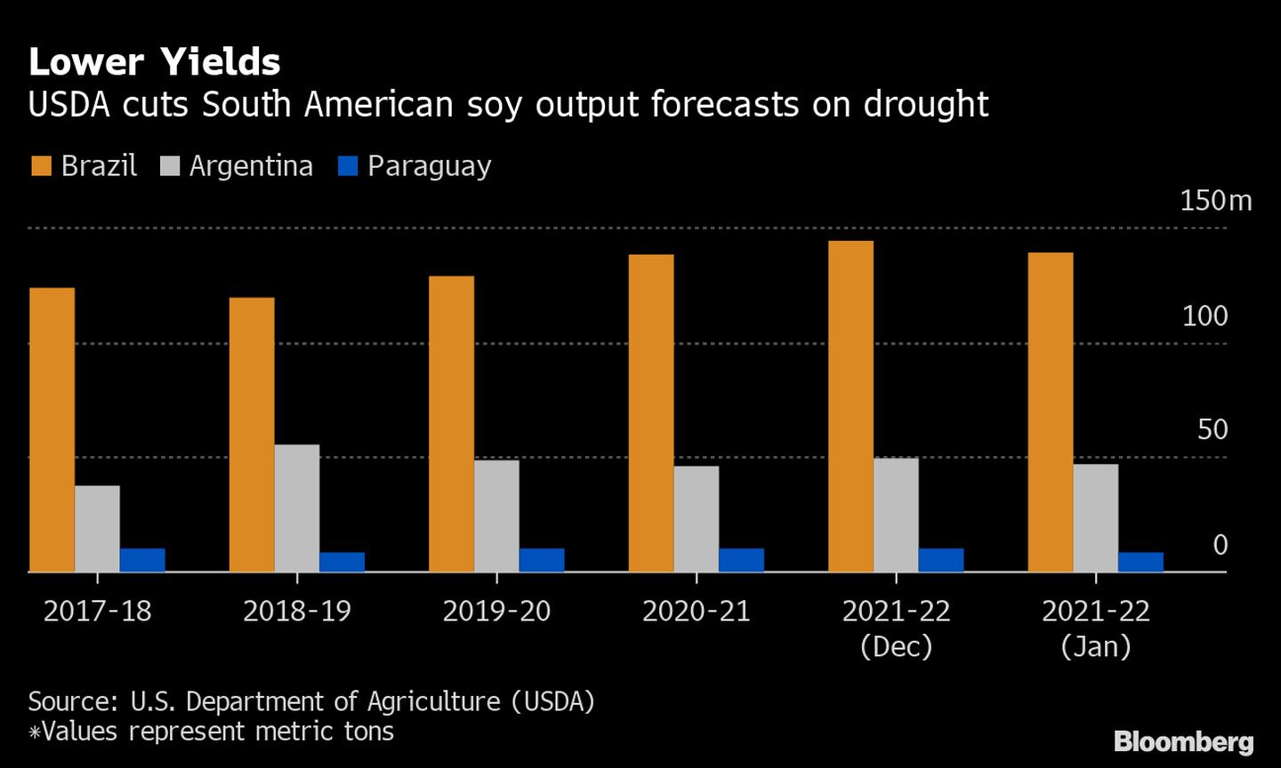 USDA reduce proyección de producción sudamericana de soja por sequía. dfd