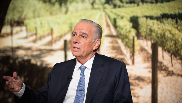La estrategia de Bulgheroni para copar el mercado argentino con vinos orgánicosdfd