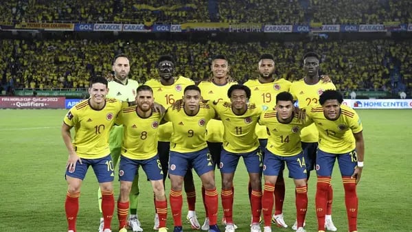 Selección Colombia: el dinero que dejaría de ganar si no va al Mundial de 2022dfd