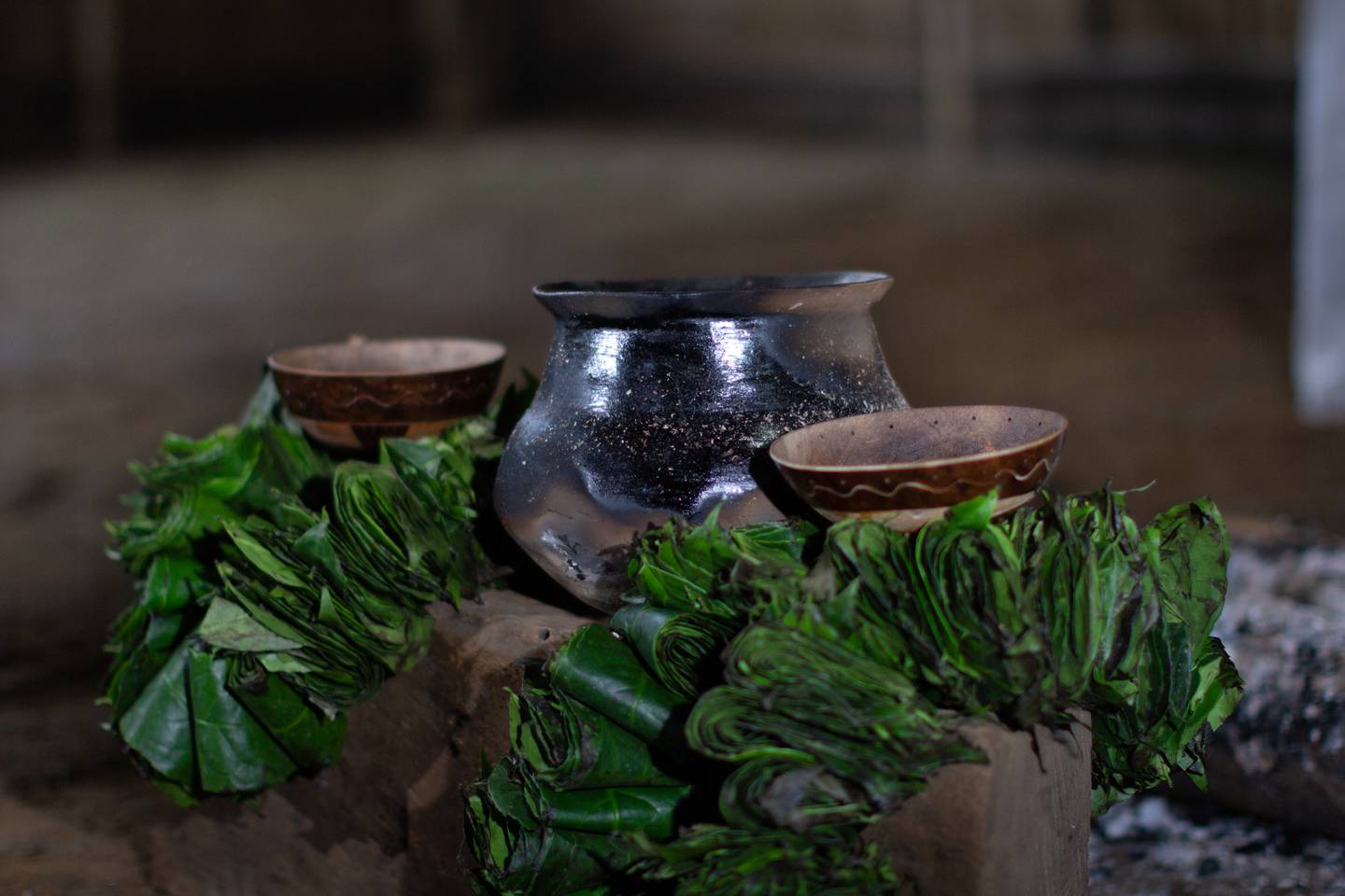 La guayusa tiene más energía que el té verde y más antioxidantes. Gómez dice que es más saludable que el café y que tiene incluso mejor sabor que la yerba mate. Foto: Waykanadfd