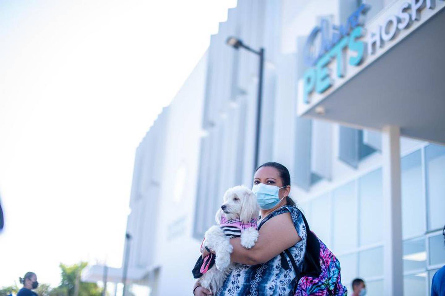 El Salvador inauguró un hospital veterinario construido con Fidebitcoin, a un costo de US$4 millones