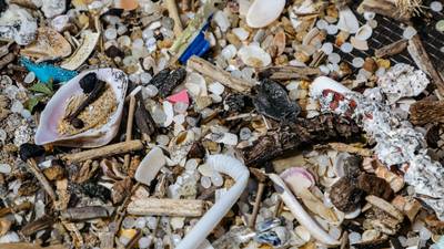 171 billones de trozos de plástico ahora obstruyen los océanos del mundodfd