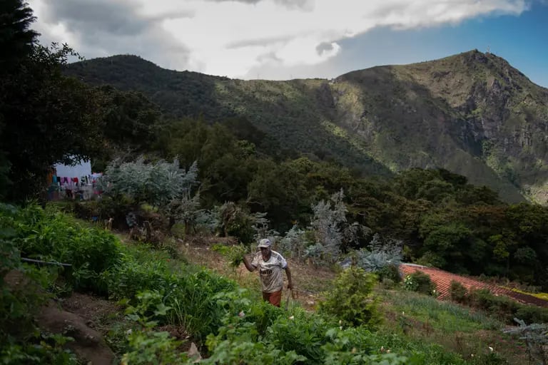 Un vecino trabaja en un jardín cerca de una casa en El Ávila.Fotógrafo: Gaby Oraa/Bloombergdfd