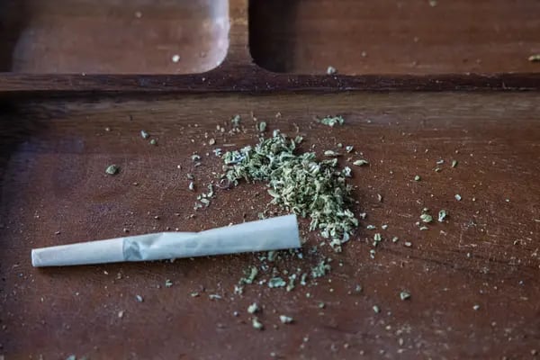 Cannabis de uso adulto en Colombia