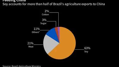 La soja representa más de la mitad de las exportaciones agrícolas de Brasil a China