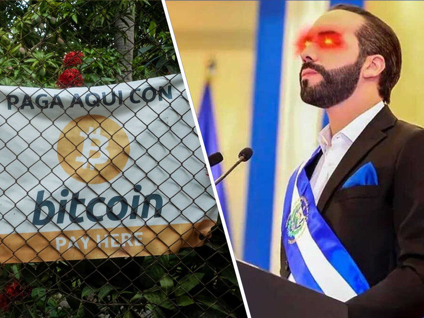 El Salvador's president is doubling down on his Bitcoin bet.