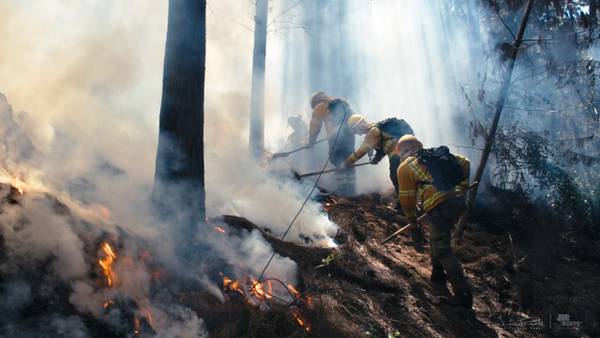 Incendios forestales en Chile dejan al menos siete muertosdfd