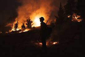 Incendios forestales récord causarían US$200.000 millones en daños a nivel global