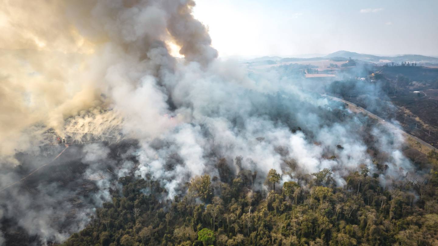 Los incendios forestales en Brasil han consumido granjas, destruyendo tierras de uno de los mayores productores agrícolas del mundo. Fotógrafo: Jonne Roriz/Bloomberg
dfd