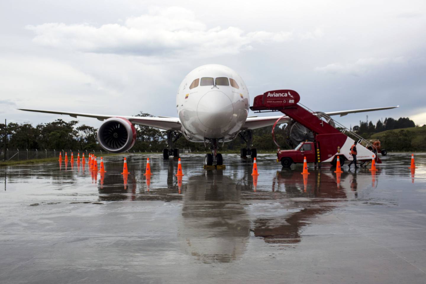 Avianca obtuvo recientemente la autorización para la integración con Viva Air. dfd