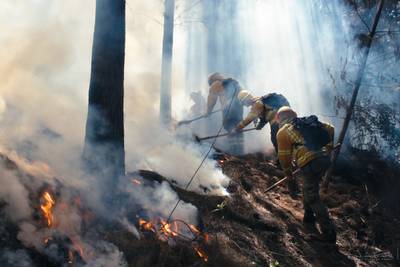 Incendios forestales en Chile dejan al menos 22 personas muertasdfd