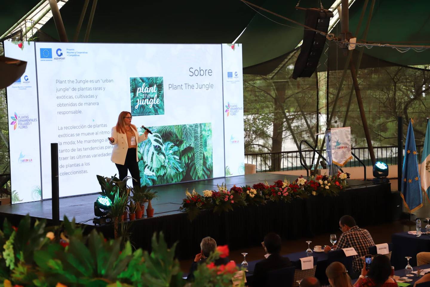 Damarys Mora Crawford, fundadora de Plant the Jungle explicó la nueva tendencia llamada PlanTok que causa furor en TikTok.dfd