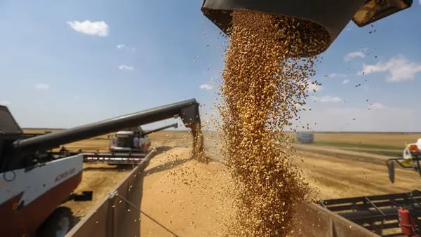 Precio del trigo llega a récord, superando al de la crisis global de alimentosdfd