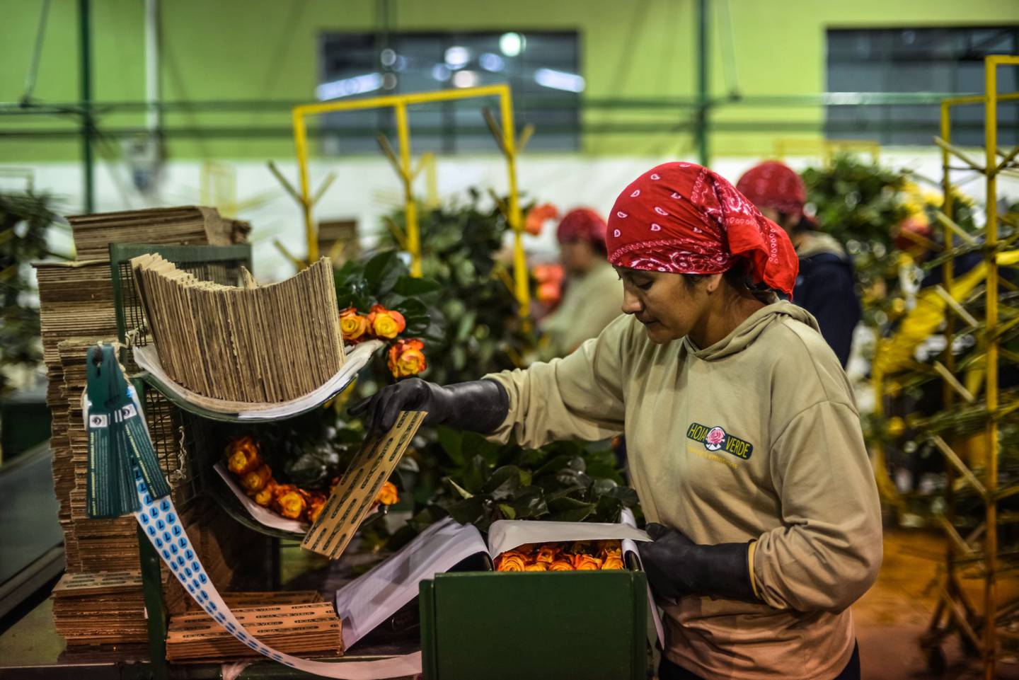 El sector agrícola en Ecuador tuvo ventas por US$ 19.357 millones en 2022, un crecimiento anual del 13%.