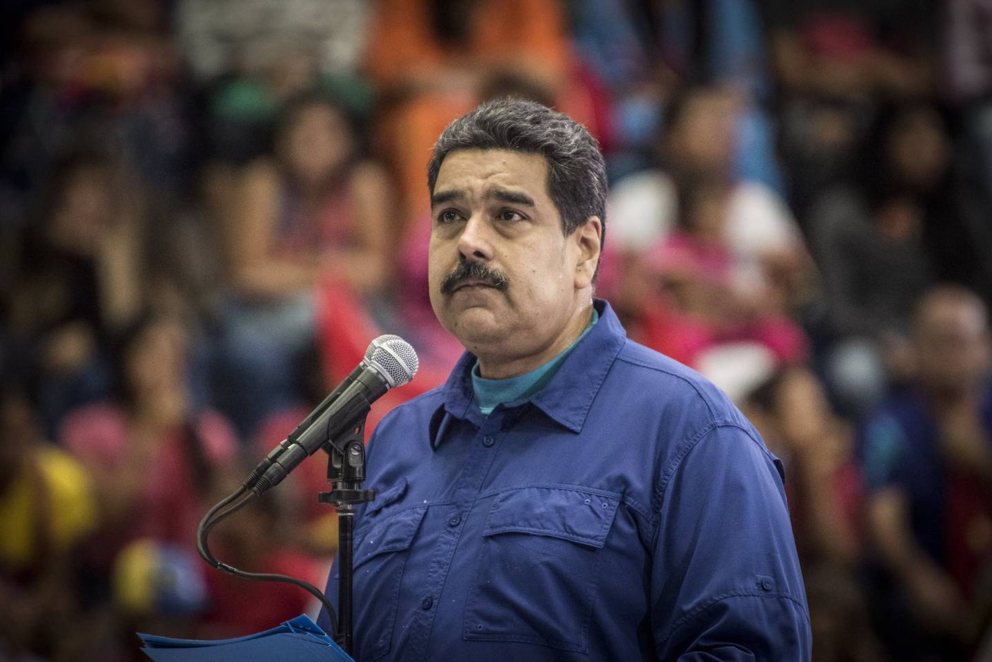 Nicolás Maduro tildó de "exitosa" la jornada de las primarias del PSUV para definir a los candidatos del chavismo para las elecciones regionales de noviembre.dfd