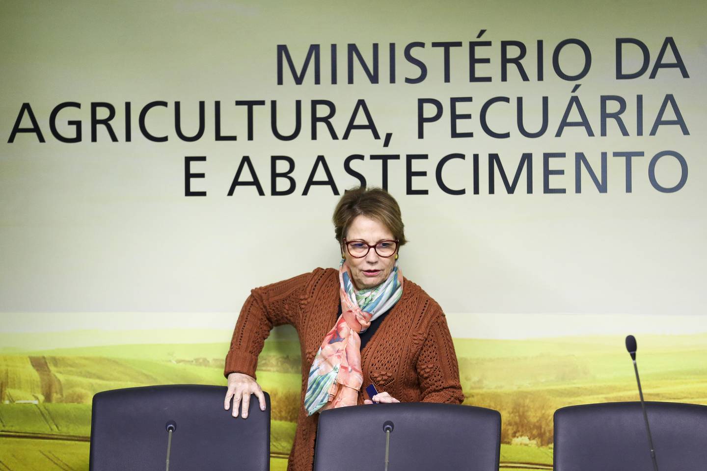A ministra da Agricultura, Pecuária e Abastecimento, Tereza Cristina, disse que setor produtivo brasileiro pode ser solução para uma economia sustentável de baixo carbono