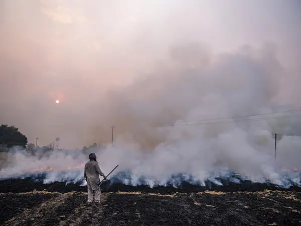 Un trabajador agrícola supervisa la quema de rastrojos de la cosecha de arroz en el distrito de Patiala de Punjab, India, el miércoles 6 de noviembre de 2019. Fotógrafo: Prashanth Vishwanathan/Bloomberg