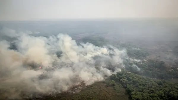 El humo de incendios forestales en humedales de Pantanal. Photographer: Jonne Roriz/Bloomberg