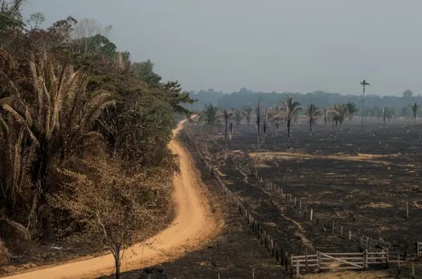 Imagen de la Amazonía brasileña afectada por incendios.
