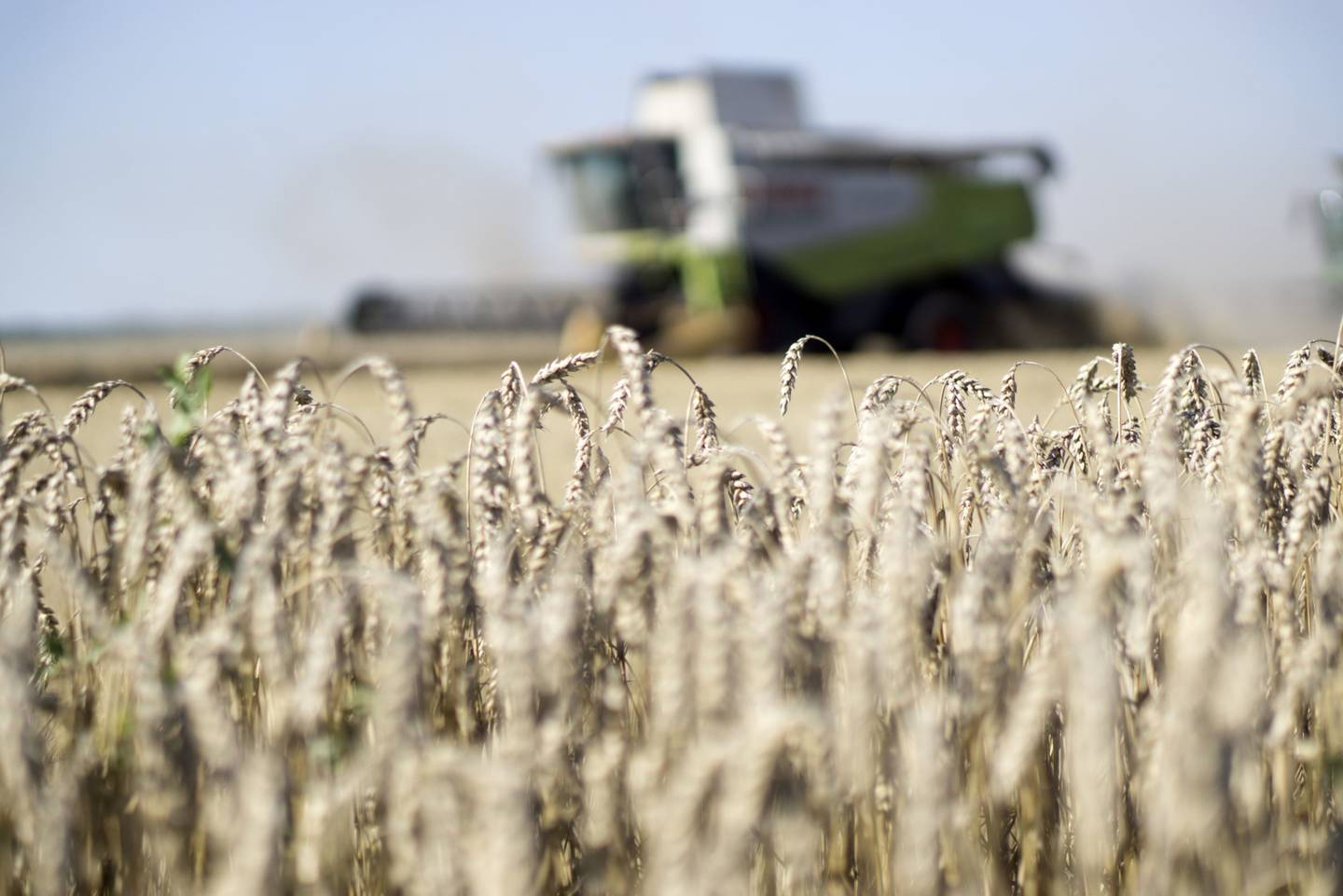 Rússia e Ucrânia estão entre os maiores exportadores mundiais de trigo, milho e óleo de girassol